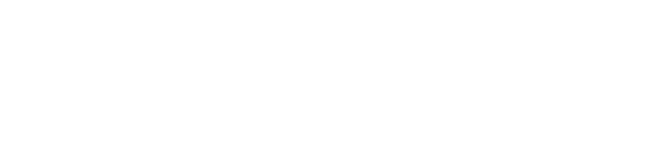 analogAI